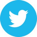 A thumbnail image of the Twitter logo