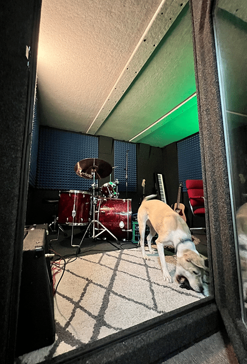 Drums, other assorted musical instruments, and a dog inside of a larger WhisperRoom MDL 102126 S.